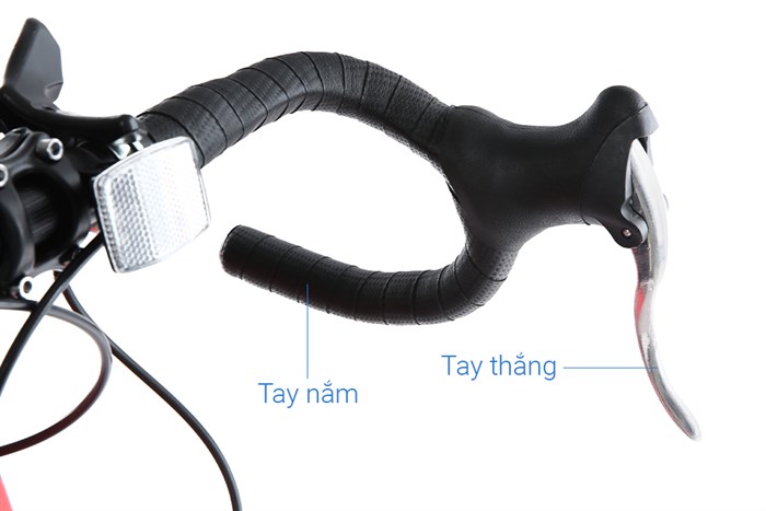 Xe Đạp Thể Thao Road Phoenix 700C Bike 29 inch Màu Đỏ