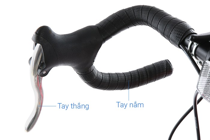 Xe Đạp Thể Thao Road Phoenix 700C Bike 29 inch Màu Đen - Đỏ