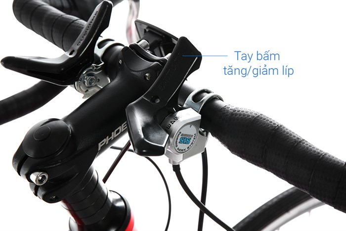 Xe Đạp Thể Thao Road Phoenix 700C Bike 29 inch Màu Đỏ