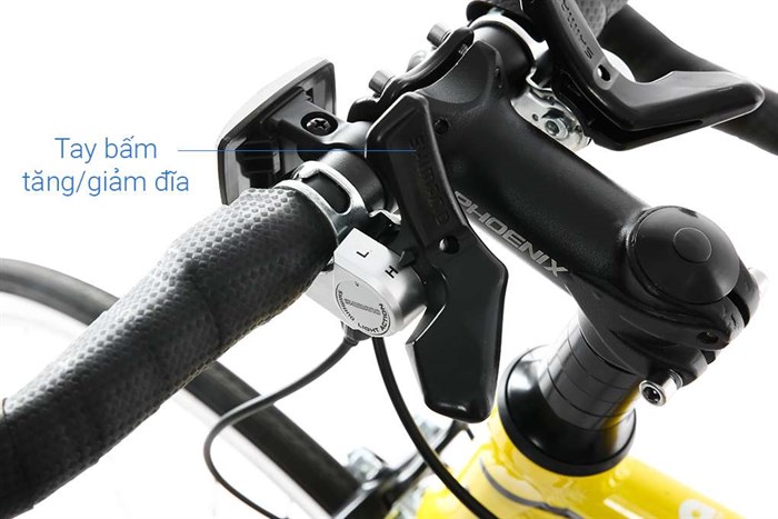 Xe Đạp Thể Thao Road Phoenix 700C Bike 29 inch Màu Vàng