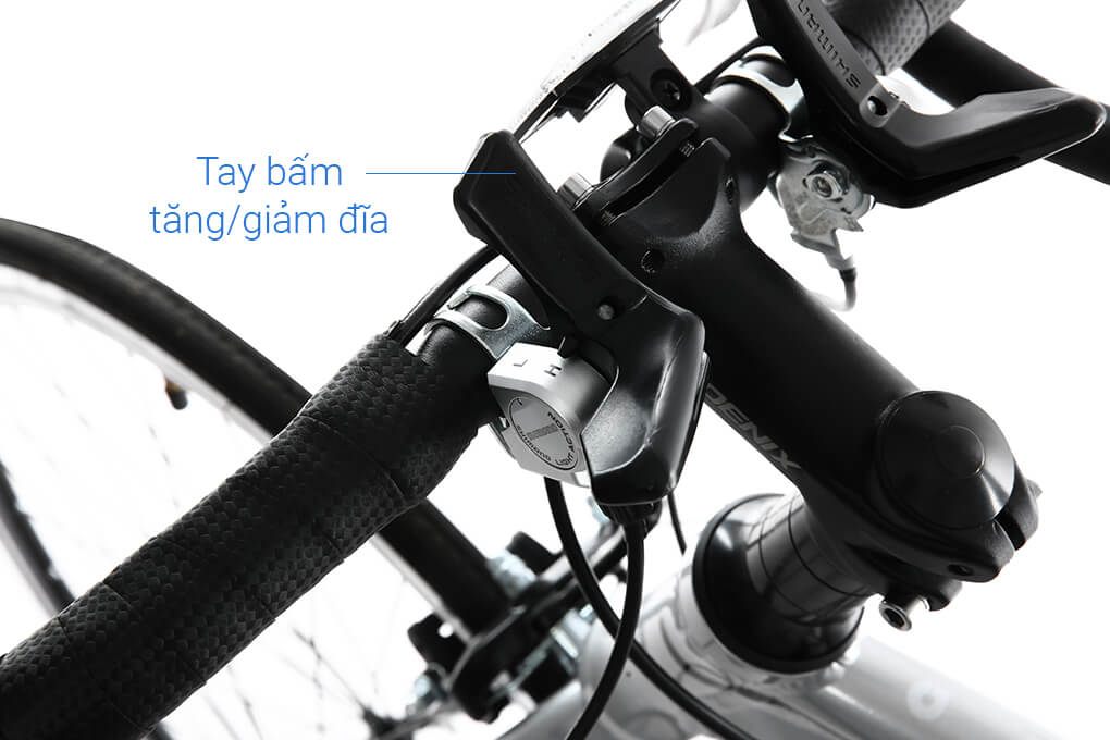 Xe Đạp Thể Thao Road Phoenix 700C Bike 29 inch Màu Xám