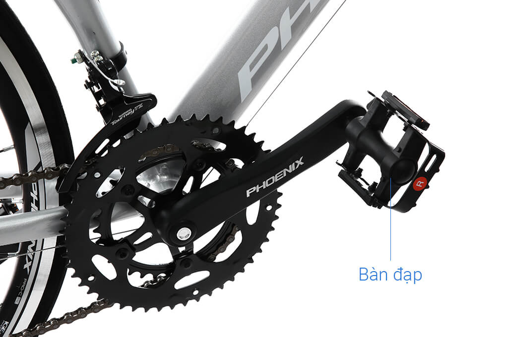 Xe Đạp Thể Thao Road Phoenix 700C Bike 29 inch Màu Xám