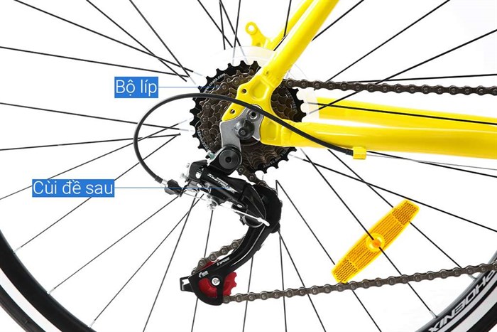 Xe Đạp Thể Thao Road Phoenix 700C Bike 29 inch Màu Vàng