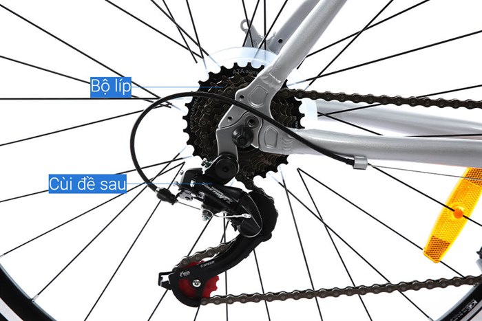 Xe Đạp Thể Thao Road Phoenix 700C Bike 29 inch Màu Xám