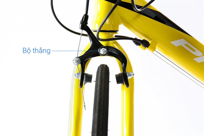 Xe Đạp Thể Thao Road Phoenix 700C Bike 29 inch Màu Vàng