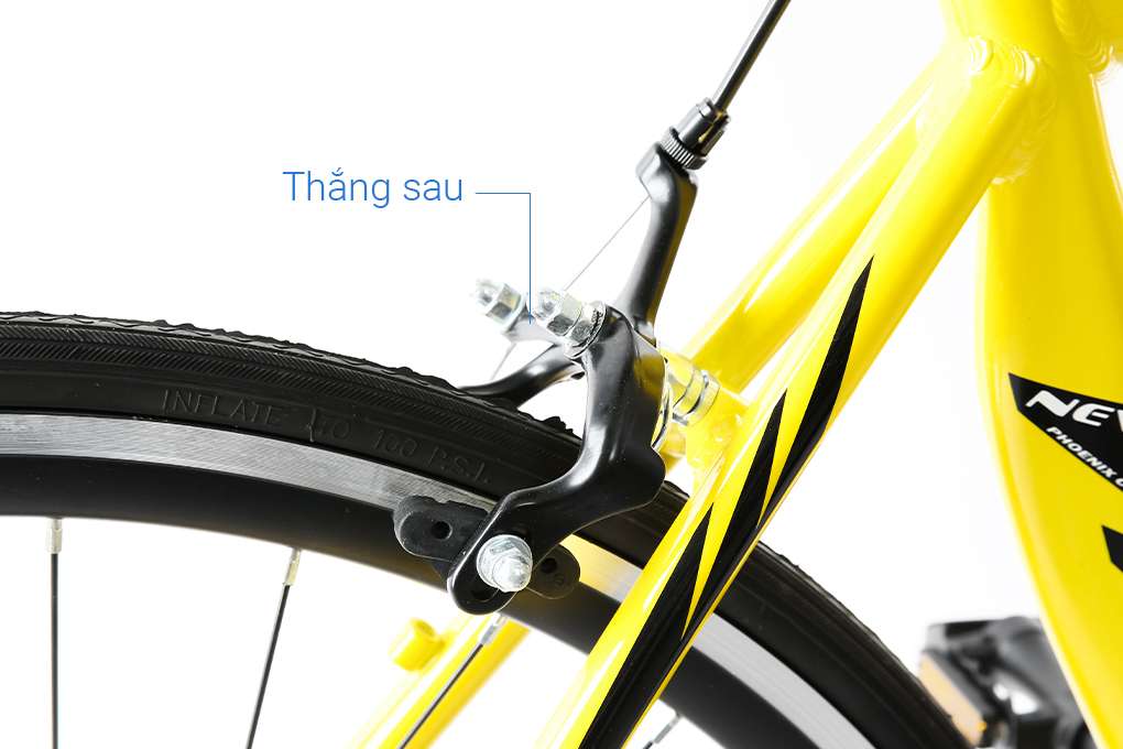 Xe Đạp Thể Thao Road Phoenix 700C Bike 29 inch Màu Vàng