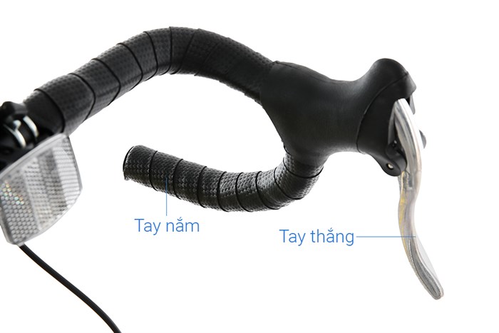 Xe Đạp Thể Thao Road Phoenix 700C Bike 29 inch Màu Vàng