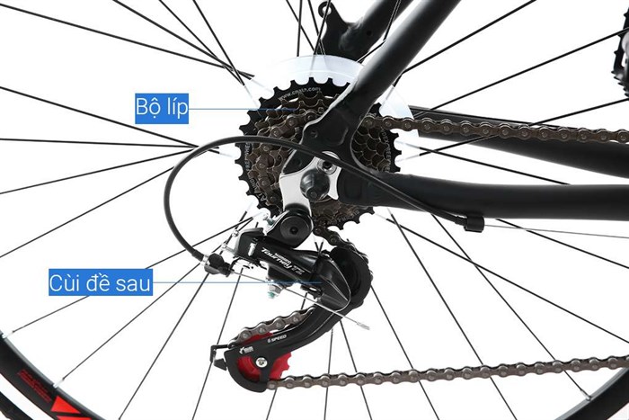 Xe Đạp Thể Thao Road Phoenix 700C Bike 29 inch Màu Đen - Đỏ