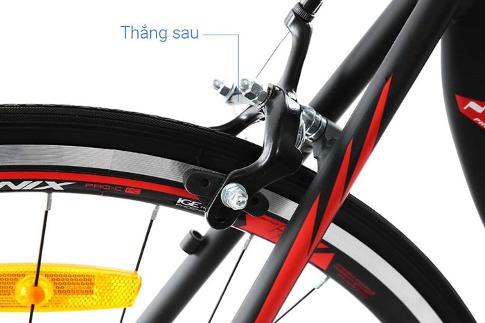 Xe Đạp Thể Thao Road Phoenix 700C Bike 29 inch Màu Đen - Đỏ