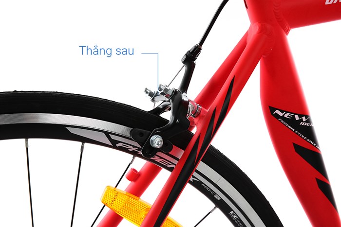 Xe Đạp Thể Thao Road Phoenix 700C Bike 29 inch Màu Đỏ