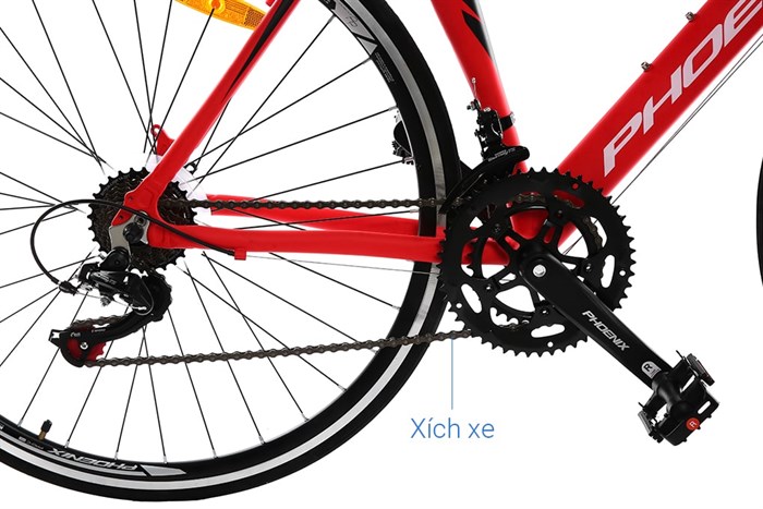 Xe Đạp Thể Thao Road Phoenix 700C Bike 29 inch Màu Đỏ