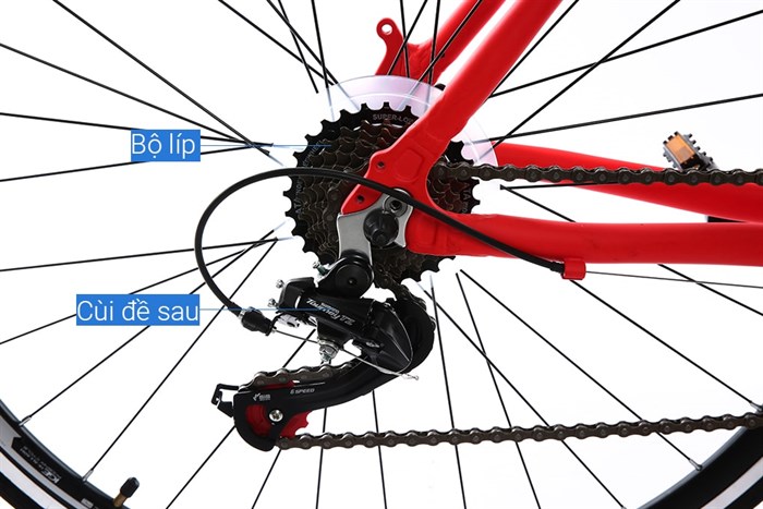 Xe Đạp Thể Thao Road Phoenix 700C Bike 29 inch Màu Đỏ