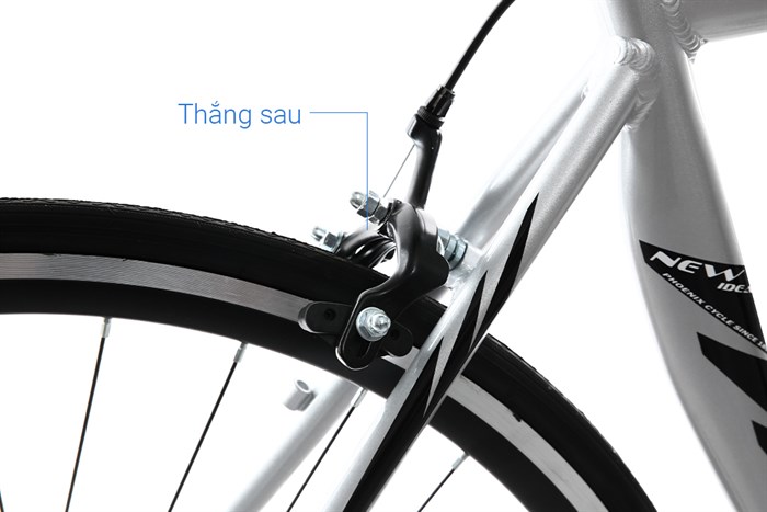 Xe Đạp Thể Thao Road Phoenix 700C Bike 29 inch Màu Xám