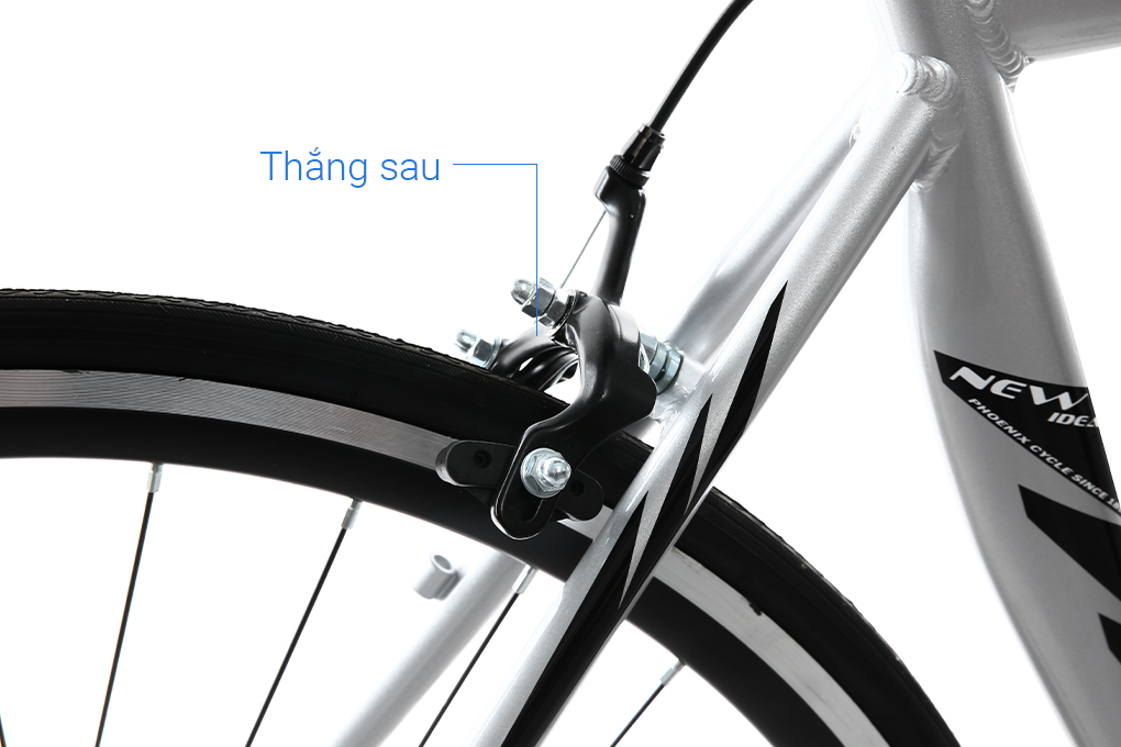 Xe Đạp Thể Thao Road Phoenix 700C Bike 29 inch Màu Xám
