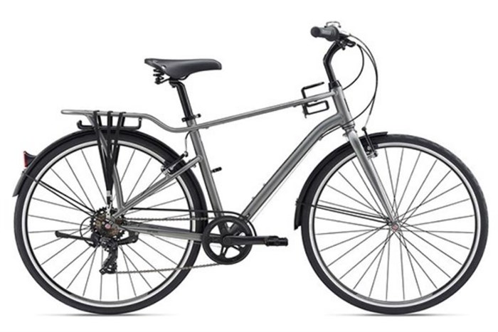 Xe đạp đường phố Touring Giant MOMENTUM INEED STREET 29 inch Size S