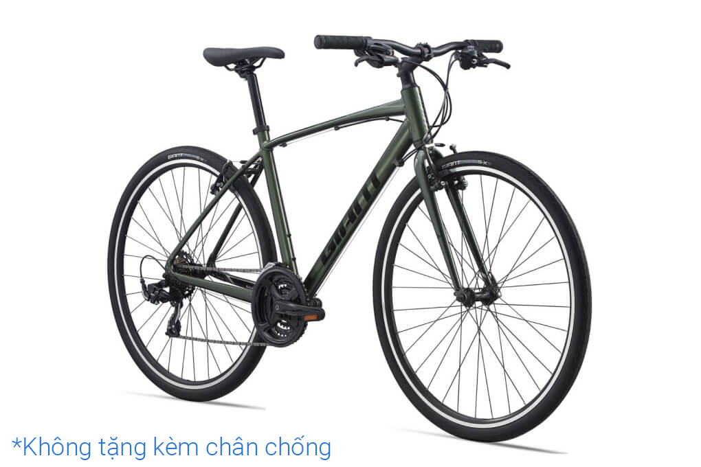 Xe Đạp Đường Phố Touring Giant Escape 3 29 inch Size S