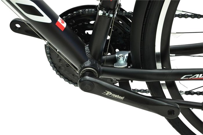 Xe Đạp Đường Phố Touring Cavanio Focus 29 inch