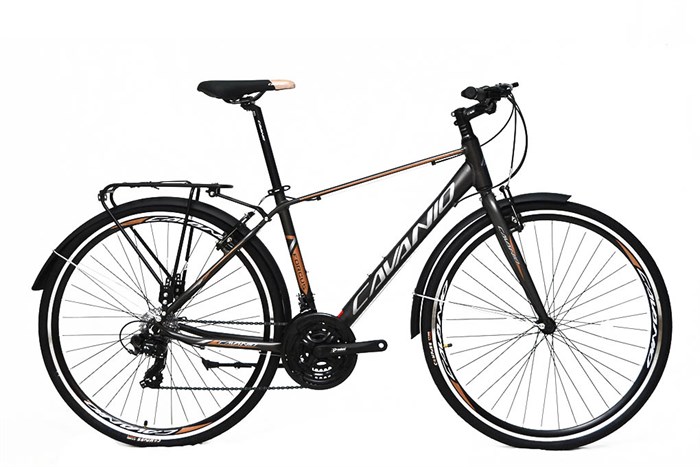 Xe Đạp Đường Phố Touring Cavanio Focus 29 inch