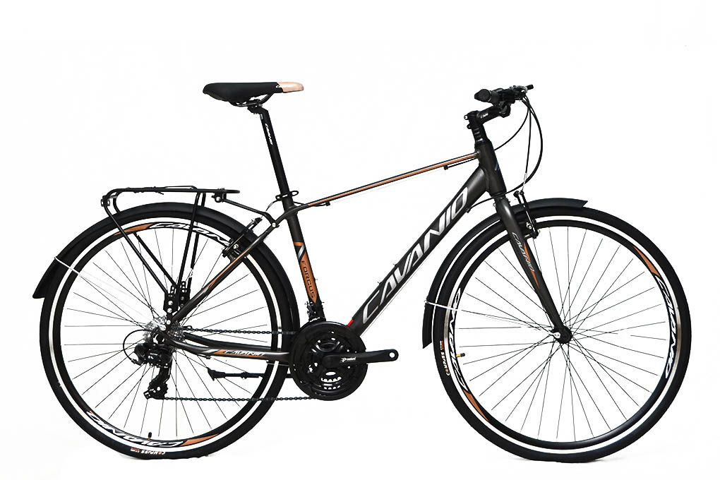 Xe Đạp Đường Phố Touring Cavanio Focus 29 inch Màu Đen - Vàng đồng