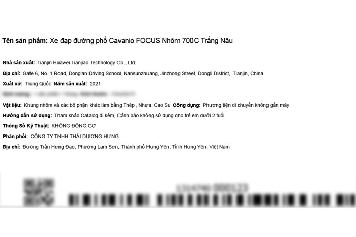 Xe Đạp Đường Phố Touring Cavanio Focus 29 inch