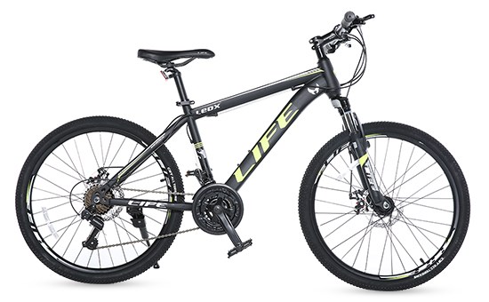 Xe đạp địa hình MTB Life 24 LEOX 24 inch