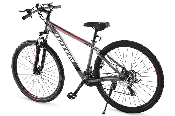Xe Đạp Địa Hình MTB Totem W860 29 inch Size M Màu Xám
