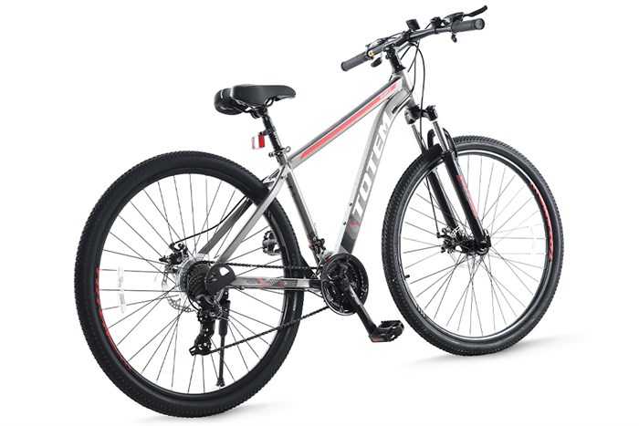 Xe Đạp Địa Hình MTB Totem W860 29 inch Size M Màu Xám