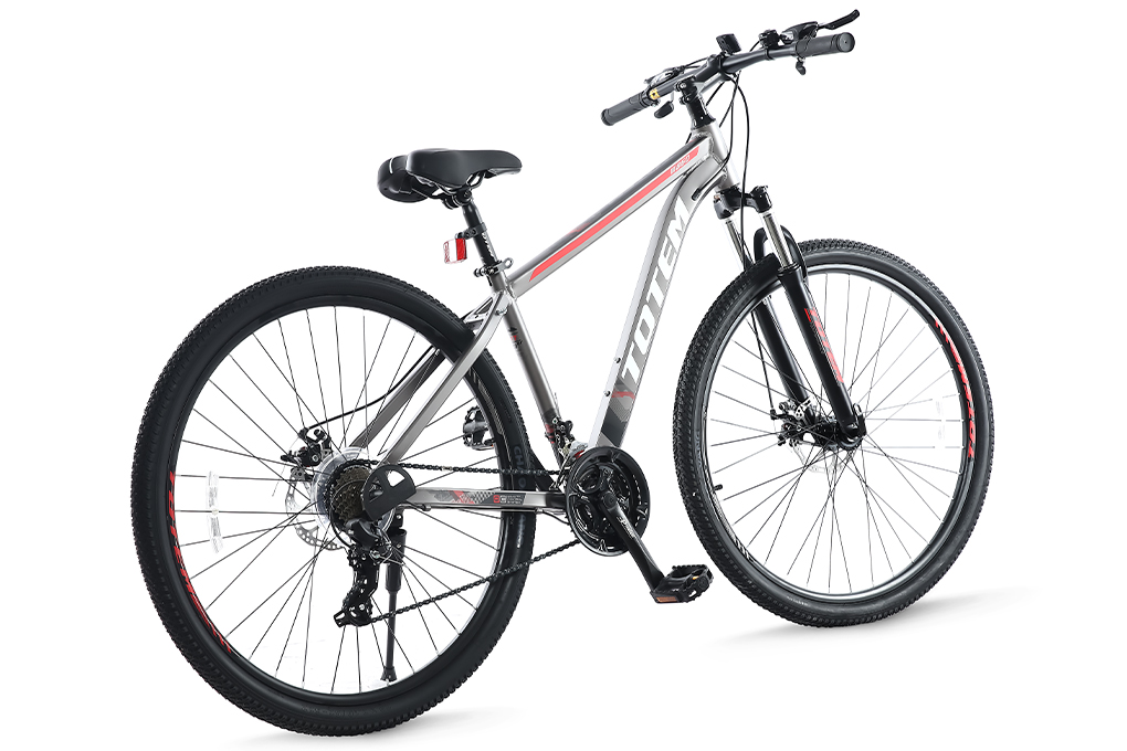 Xe Đạp Địa Hình MTB Totem W860 29 inch Size M - 4
