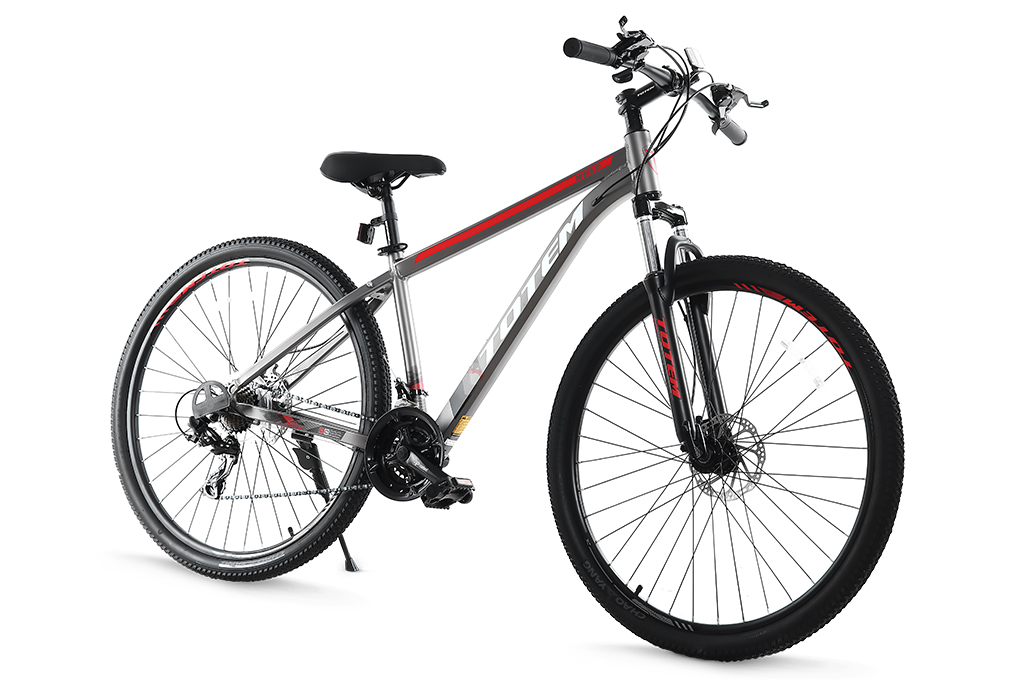 Xe Đạp Địa Hình MTB Totem W860 29 inch Size M - 5