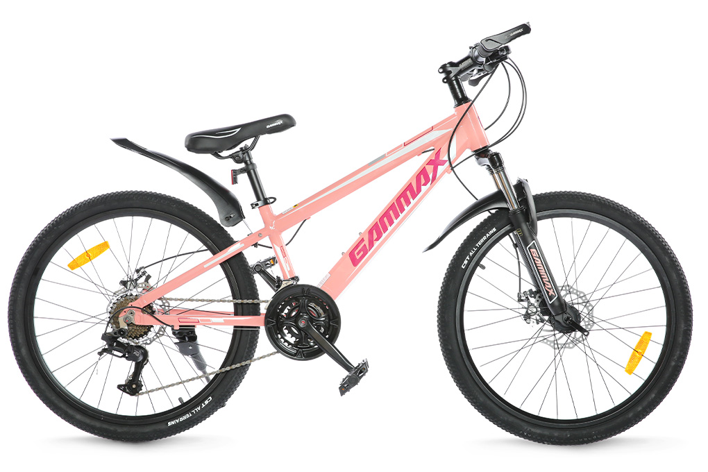 Xe Đạp Địa Hình MTB Gammax 24-Qingwei-21S 24 inch Màu Hồng
