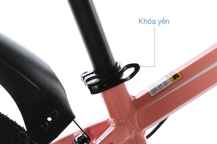 Xe Đạp Địa Hình MTB Gammax 24-Qingwei-21S 24 inch Màu Hồng