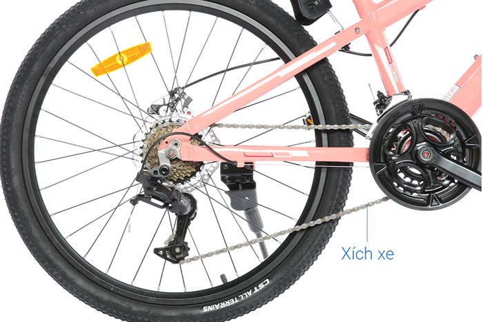 Xe Đạp Địa Hình MTB Gammax 24-Qingwei-21S 24 inch Màu Hồng
