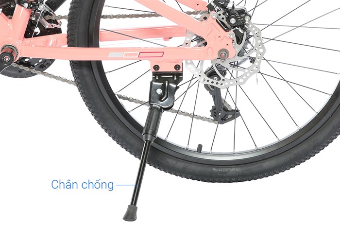 Xe Đạp Địa Hình MTB Gammax 24-Qingwei-21S 24 inch Màu Hồng