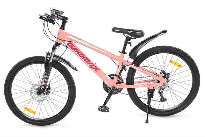 Xe Đạp Địa Hình MTB Gammax 24-Qingwei-21S 24 inch Màu Hồng