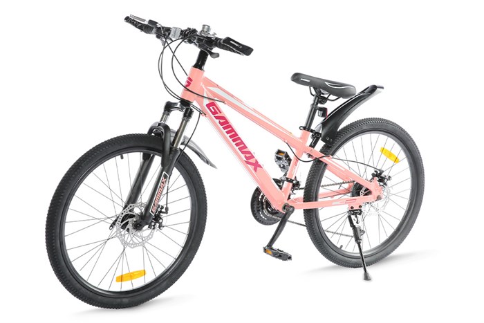 Xe Đạp Địa Hình MTB Gammax 24-Qingwei-21S 24 inch Màu Hồng