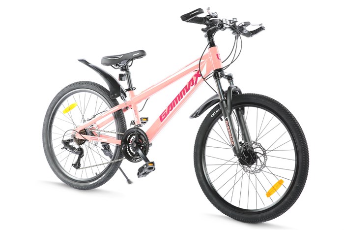 Xe Đạp Địa Hình MTB Gammax 24-Qingwei-21S 24 inch Màu Hồng