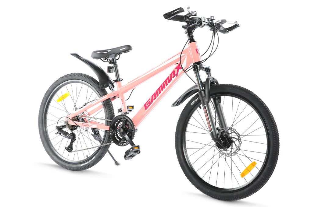 Xe Đạp Địa Hình MTB Gammax 24-Qingwei-21S 24 inch Màu Hồng