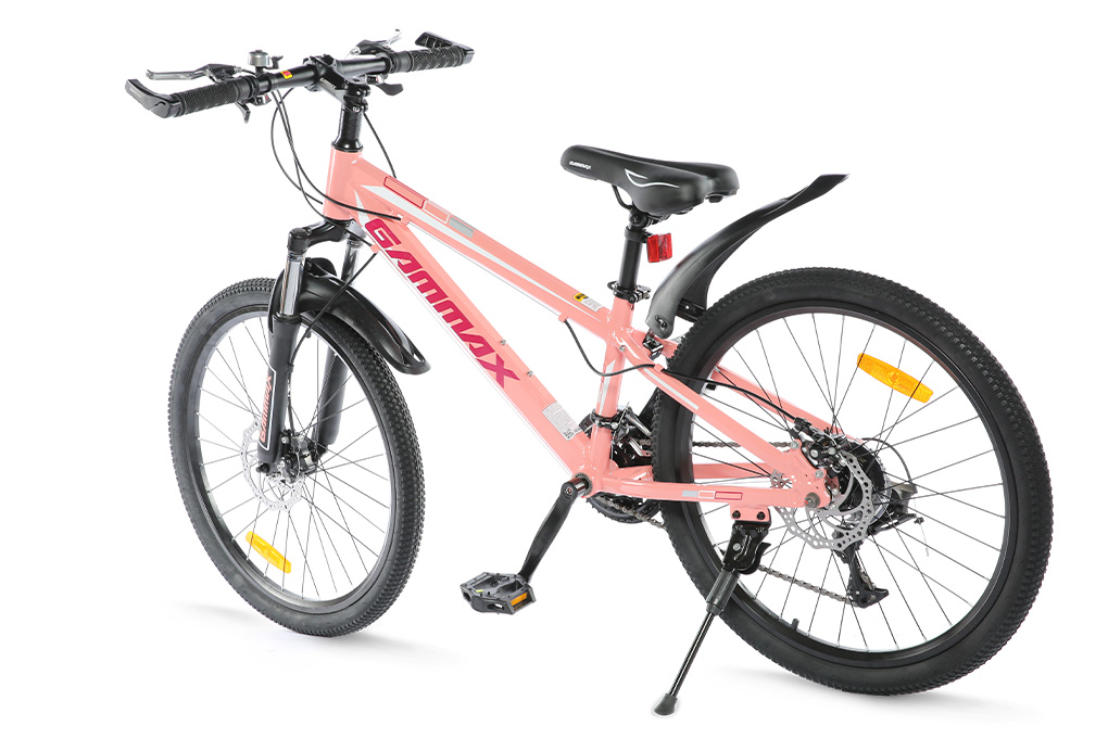 Xe Đạp Địa Hình MTB Gammax 24-Qingwei-21S 24 inch Màu Hồng