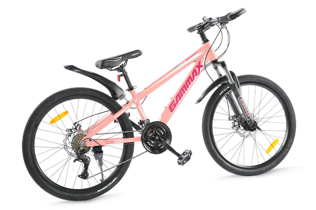 Xe Đạp Địa Hình MTB Gammax 24-Qingwei-21S 24 inch Màu Hồng