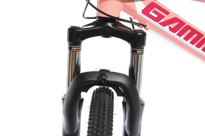 Xe Đạp Địa Hình MTB Gammax 24-Qingwei-21S 24 inch Màu Hồng