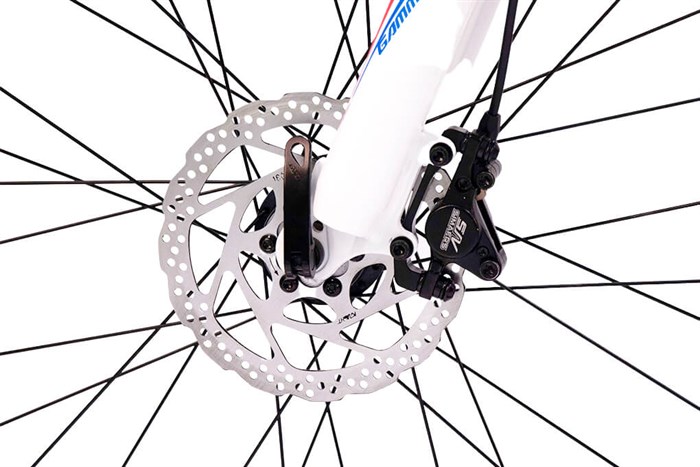 Xe Đạp Địa Hình MTB Gammax 26-Leiming-5.0-24S-HD 2020 26 inch Màu Trắng - Xanh