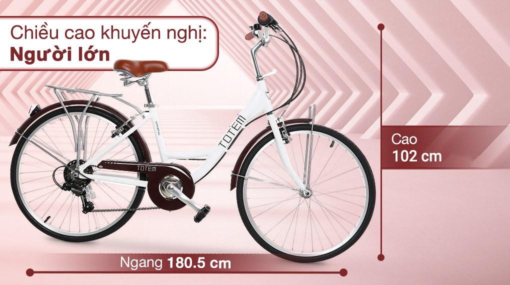 Xe Đạp Đường Phố City Totem Chris 24 inch Size M