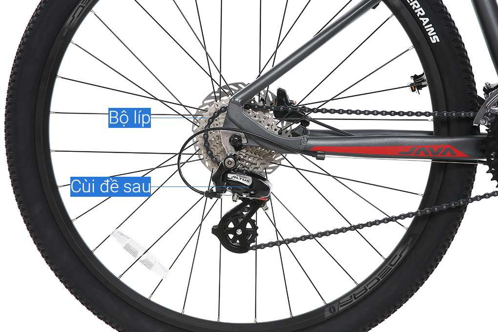 Xe Đạp Địa Hình MTB Java 29-Dolomia-24S 29 inch Size S