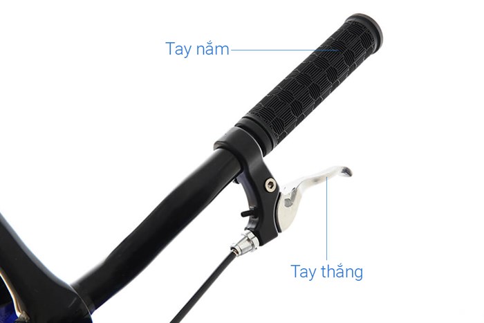 Xe Đạp Thể Thao Road Txed Flat Road S4 29 inch Size L