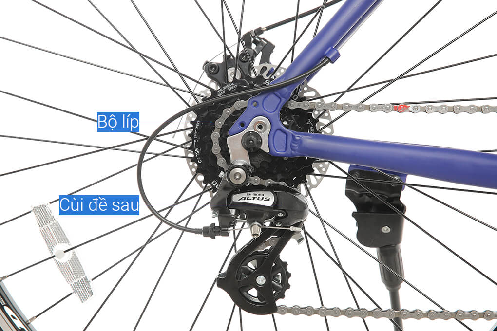 Xe Đạp Thể Thao Road Txed Quick Cykel M 29 inch Size L Màu Xanh Dương