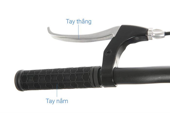 Xe Đạp Thể Thao Road Txed Quick Cykel M 29 inch Size L Màu Xanh Dương