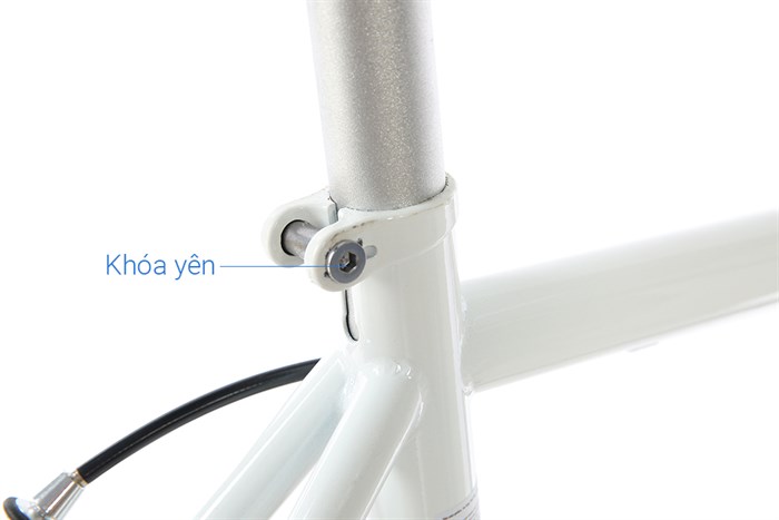 Xe Đạp Thể Thao Road Txed Classic 29 inch Size L Màu Trắng - Xanh