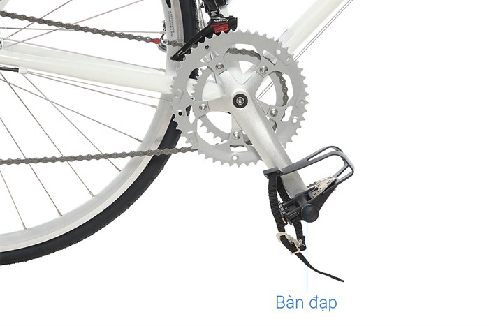 Xe Đạp Thể Thao Road Txed Classic 29 inch Size L Màu Trắng - Xanh