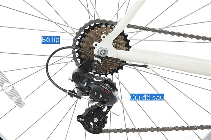 Xe Đạp Thể Thao Road Txed Classic 29 inch Size L Màu Trắng - Xanh