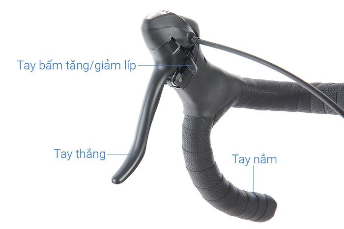 Xe Đạp Thể Thao Road Txed Classic 29 inch Size L Màu Trắng - Xanh